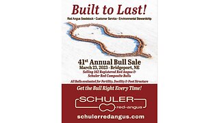 Schuler Red Angus 2023 Annual Bull Sale Catalog, Bridgeport, Nebraska