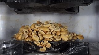 Peanuts Turned To Peanut Butter By Hydraulic Press