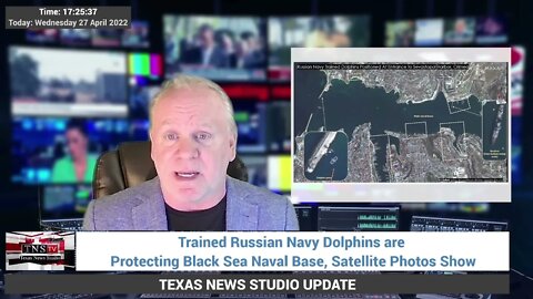 Trained Russian Navy Dolphins are Protecting Black Sea Naval Base, Satellite Photos Show
