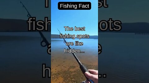 Fishing Facts #shorts #fishing #fishingfanatics