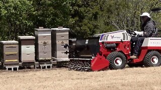 No Till Planting. Wildflowers by Honey Bees!