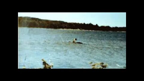 Sightings-Lake Champlain Monster