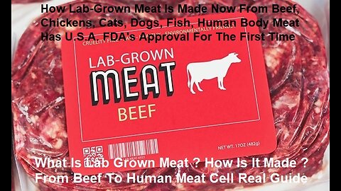 What Is Lab Grown Meat ? How Is It Made From Beef To Human Meat Cell Guide Etc..