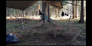 Preparing to dig a firepit in a woodland 20th Jan 2023