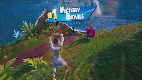 🔹🔷 Solo Victory Royale 18 (1220 Total) Chapter 4 Season 4 COMBAT CHIC ANTONIA Skin 🔷🔹