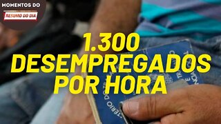 Taxa de desemprego chega a 1.300 por hora | Momentos do Resumo do Dia