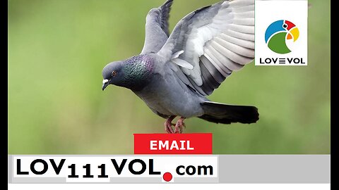 5. LOVEVOL- Email Client, free for one , lovevol email client vs outlook . See description