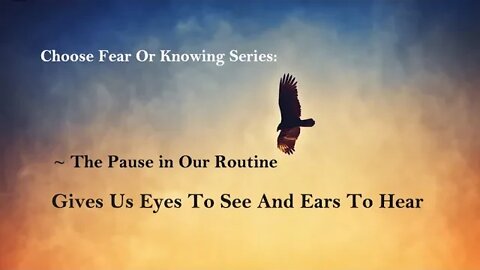 The Pause in Our Routine Gives Us Eyes To See And Ears To Hear