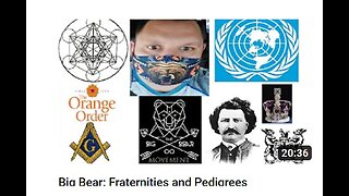 Big Bear: Fraternities and Pedigrees