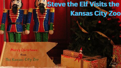 Steve the Elf Visits the Kansas City Zoo | The Christmas Special!