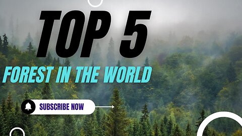 Top 5 Largest Forests in the World | Biggest Forest in the World | Top 10 Jungles |