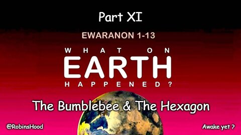 What On Earth Happened ? - Part 11 - The Bumblebee & The Hexagon