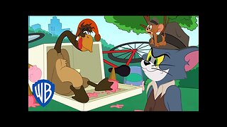 Tom & Jerry | Goose on the Loose | @WB Kids