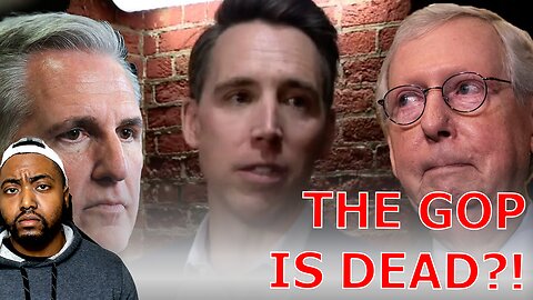 Josh Hawley Goes SCORCHED Earth As Mitch McConnell & Kevin McCarthy Get Re-Elected As GOP Leaders