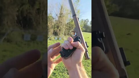 Silenced Ruger 22 | Follow And Share #shorts