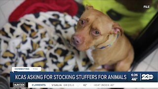 Kern County Animal Shelter seeks Christmas toy, treat donations for animals