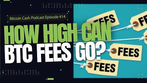 How High Can BTC Fees Go?
