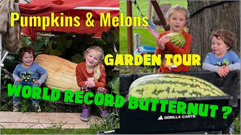 World Record Butternut Squash & Big Pumpkins