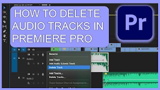 How to delete entire audio tracks in Premiere Pro