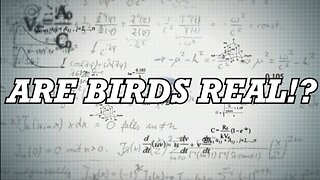 Are Birds Real?