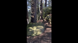 The Rocks at Redwood Peak