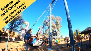 Arizona Gold Canyon Renaissance Festival Medieval buildings and a flying swan