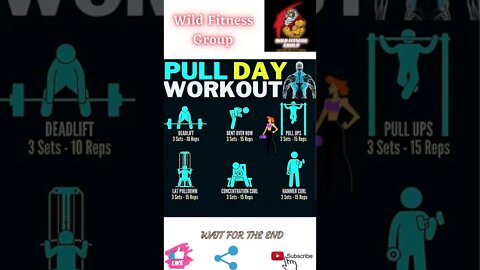 🔥Pull day workout🔥#shorts🔥#wildfitnessgroup🔥17 June 2022🔥