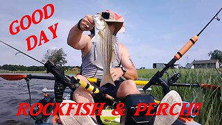 KAYAK FISHING! ROCKFISH & PERCH!!