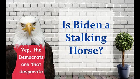 Is Biden a Stalking Horse?