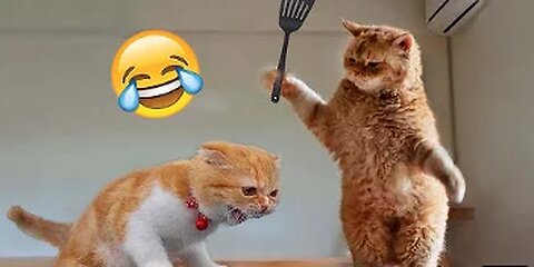Funny Animal Videos 2023 🥰 - Funniest Dogs and Cats Videos 😁