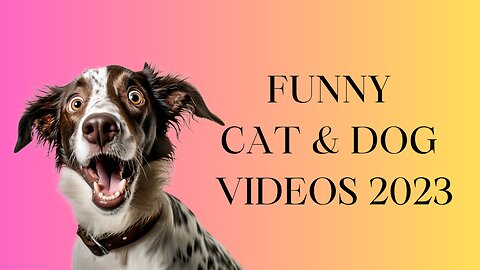 1 Hour of Funniest Animals 2023 😍 New Funny Cats and Dog Videos 😹🐶 Part 10