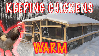 Trying To Keep Our Chickens Warm In Winter