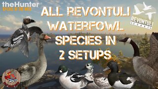 All 8 Waterfowl on Revontuli in 2 Setups with open easy line of sight, theHunter Call of the Wild