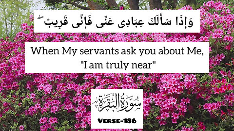 Surah Al Baqarah,Verse-186💕