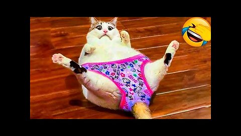 World Best Funniest🤑 Cat vs animal vs Kid 😃 Entertainment Don't Try Laughing 🤣 2024 clips 🫡