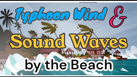 Typhoon Winds & Sound Waves by the Beach.