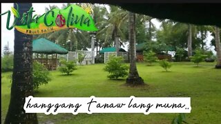 A hidden paradise in town! Hanggang gate lang kami 😂 umorder lang ng hapunan