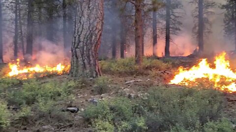 🔴👀🔴 The Story of Prescribed Fire - A vital part of Western landscapes