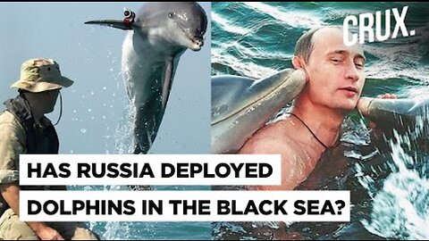 Putin's Military Dolphins, Russia's Black Sea Security Goes Beyond Missiles & Drones I Ukraine War​