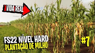 ▶️ Primeiro Plantio do Milho no novo terreno FARMING SIMULATOR 22