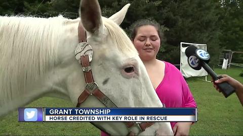 Horse credited with key role in rescue