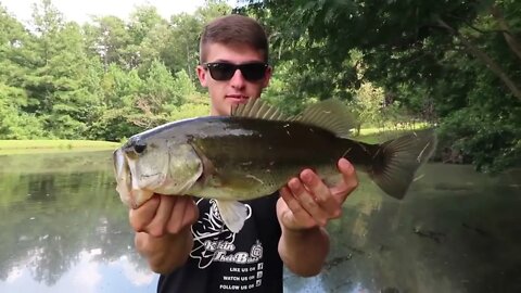 How To Fish Small Ponds - Bass!