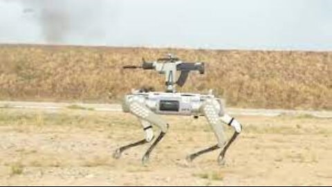 China's military shows off rifle-toting robot dogs ⚠️