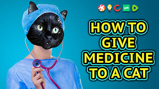 How To Give Medicine To A Cat (Vilma Style)