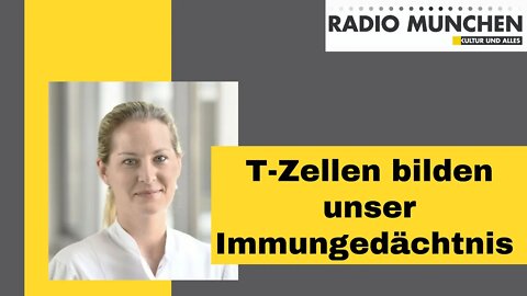 T-Zell-Immunität bestätigt: Nachhaltiger Schutz für den Organismus