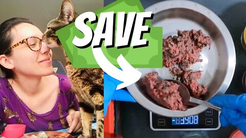 Use these cat food coupons to save $$