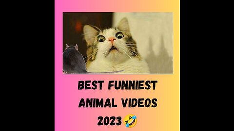 best funniest animal videos 2023🤣