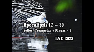 Apocalipsis 17 - 30 - Sellos, Trompetas y Plagas 3
