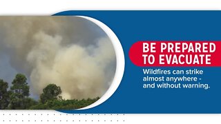 AAA Insurance / Wildfires