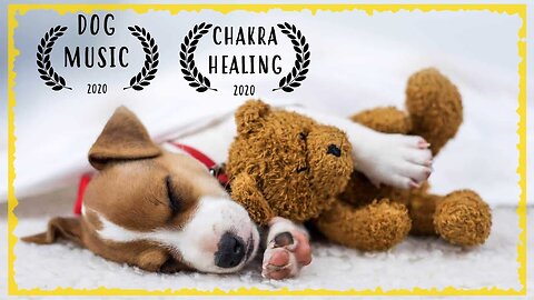 Calming Music For Dogs ~ Soothing Music for Dogs to relax ~ Dog Music to Sleep